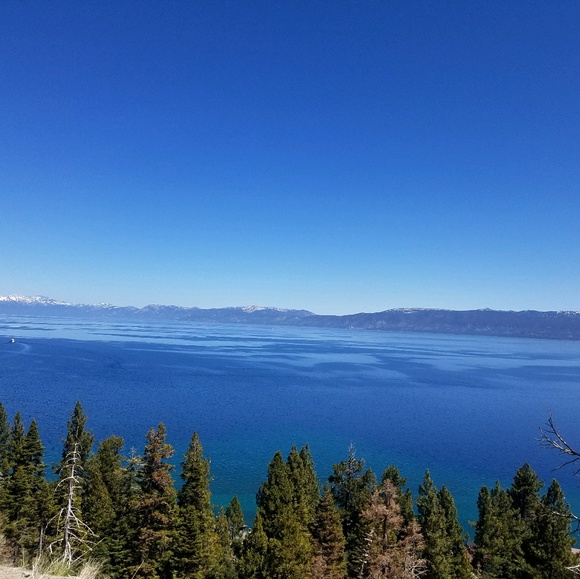 Meet your Posher, Cecilia - Picture 1 of 1